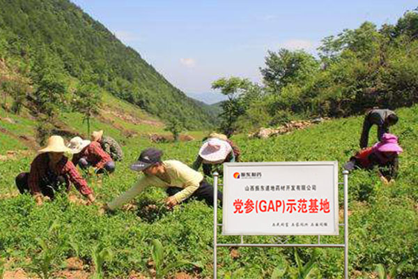 3868la银河总站(china)股份有限公司 - Make It Possible