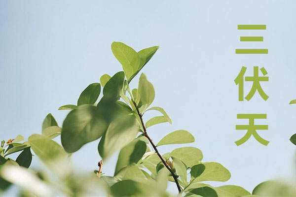 3868la银河总站(china)股份有限公司 - Make It Possible