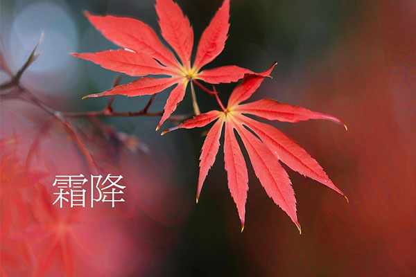 3868laվ(china)ɷ޹˾ - Make It Possible