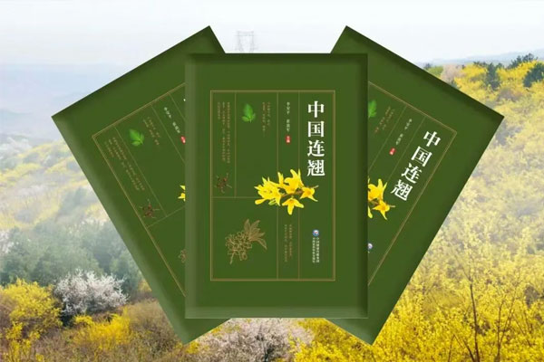 3868la银河总站(china)股份有限公司 - Make It Possible